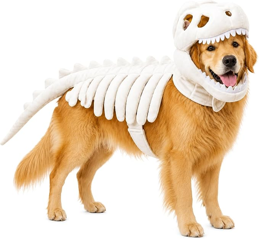 Jelly DinoGlow Pet Costume