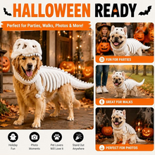 Jelly DinoGlow Pet Costume