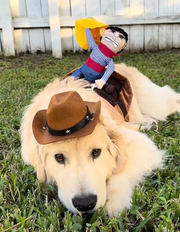 Cowboy Pet Costume