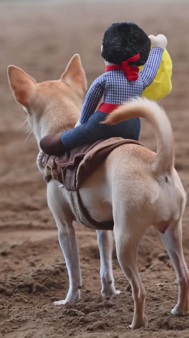 Cowboy Pet Costume